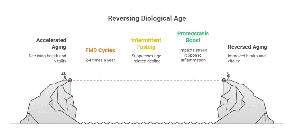 The Longevity Diet What Science Says About Eating for a Longer Life